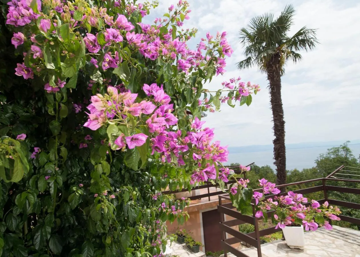 Apartment Alba Medveja Croatia